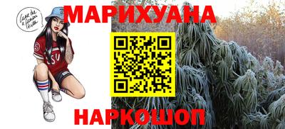 прущие грибы Гусиноозёрск