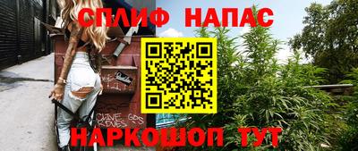 прущие грибы Гусиноозёрск
